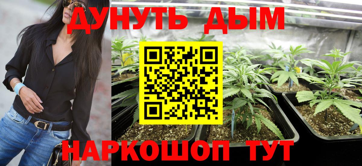 Шали  Конопля план  Каннабис семена  Вход с VPN  Конопля сатива 